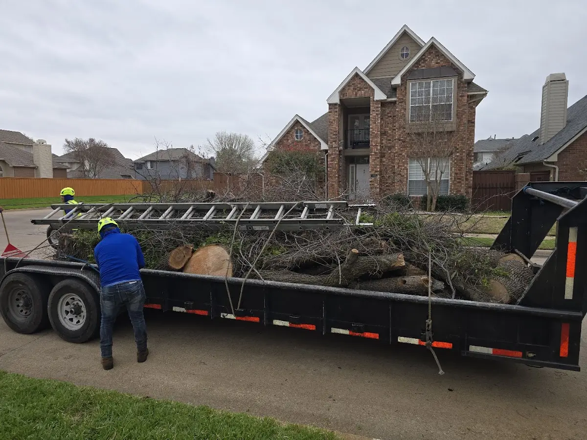 Expert Tree Pest Control with proper safety equipment in Fryburg